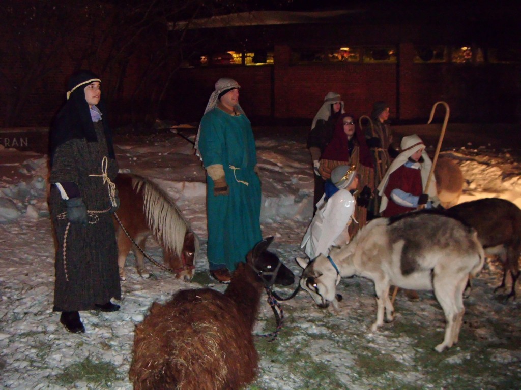 Nativity Animals & Shepherds – Fools For Christ